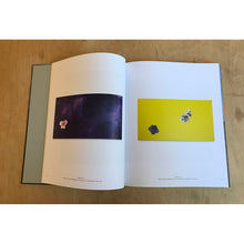 Load image into Gallery viewer, Mary Weatherford: Canyon-Daisy-Eden