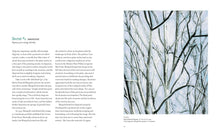 Load image into Gallery viewer, E-publication of Magical Secrets about Line Etching & Engraving: The Step-by-Step Art of Incised Lines