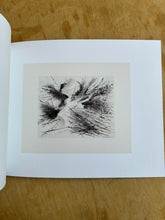 Load image into Gallery viewer, Excavations: The Prints of Julie Mehretu