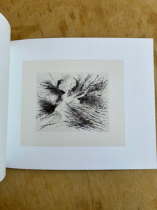 Excavations: The Prints of Julie Mehretu