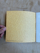 Load image into Gallery viewer, Inches and Field: Sylvia Plimack Mangold