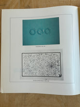 Load image into Gallery viewer, Print Publishing in America