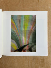 Load image into Gallery viewer, Morris Louis