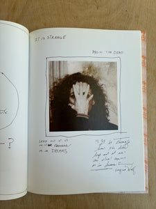 ArT RANDOM: PAT STEIR