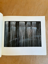 Load image into Gallery viewer, Pat Steir Waterfalls