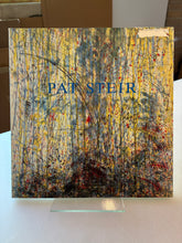 Load image into Gallery viewer, Pat Steir Gravures-Prints 1976-1988