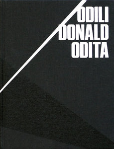 Odili Donald Odita 1991 2021