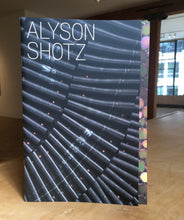 Load image into Gallery viewer, Alyson Shotz