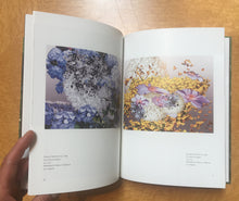 Load image into Gallery viewer, Alyson Shotz: A Slight Magnification of Altered Things