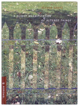 Alyson Shotz: A Slight Magnification of Altered Things