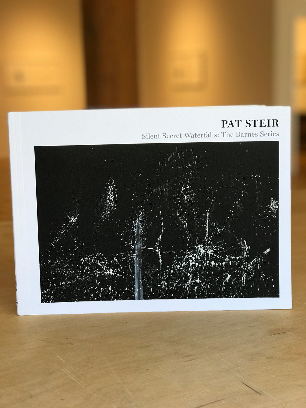 Pat Steir: Silent Secret Waterfalls: The Barnes Series
